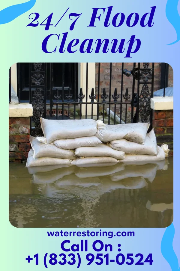 24/7 Flood Cleanup in Central, TN