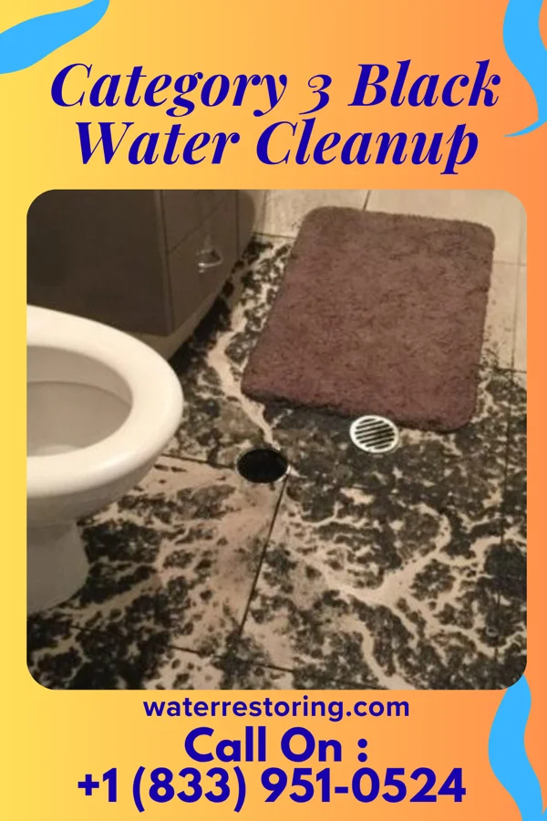 Category 3 Black Water Cleanup in Central, TN
